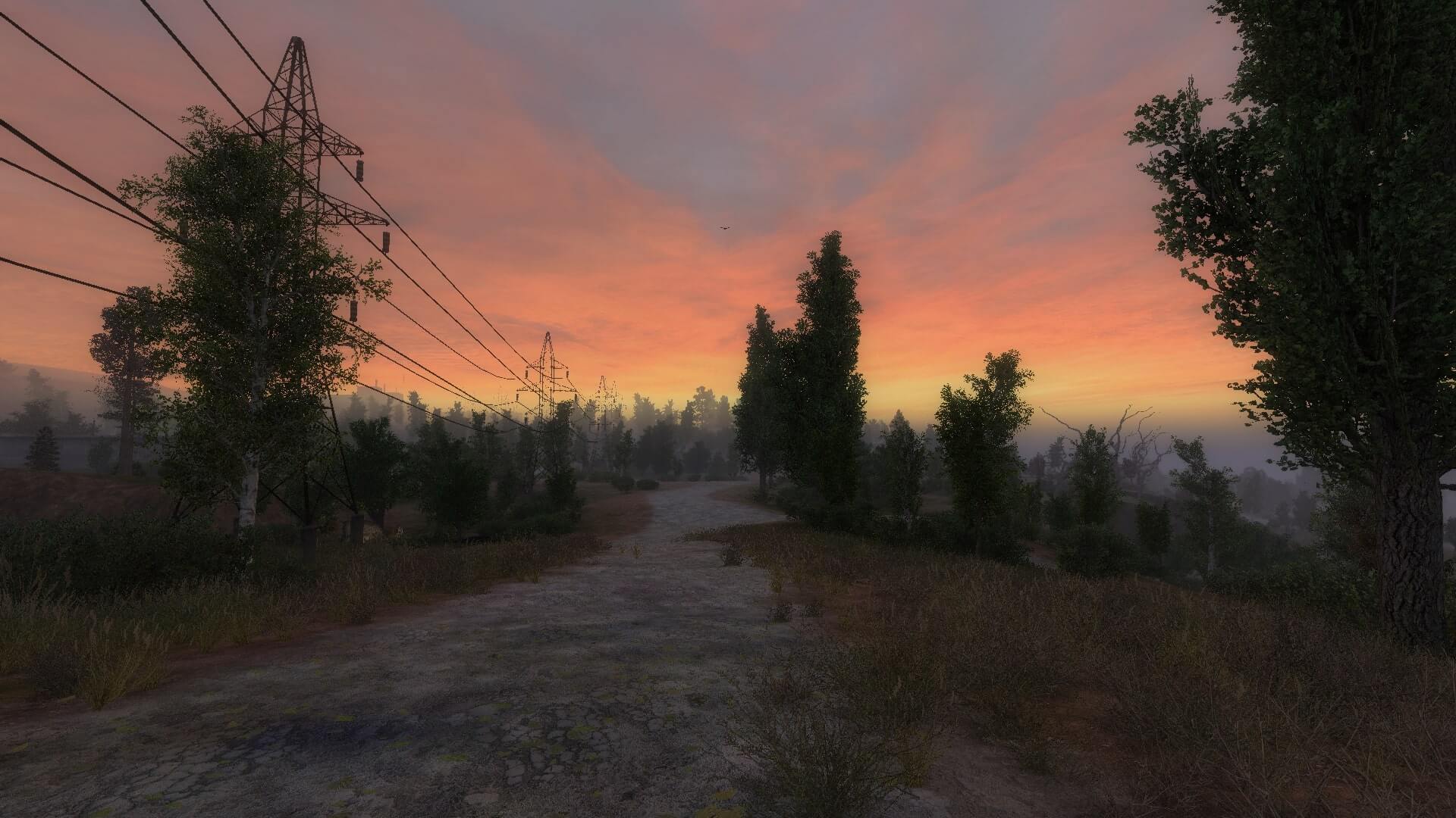 CGIM 2