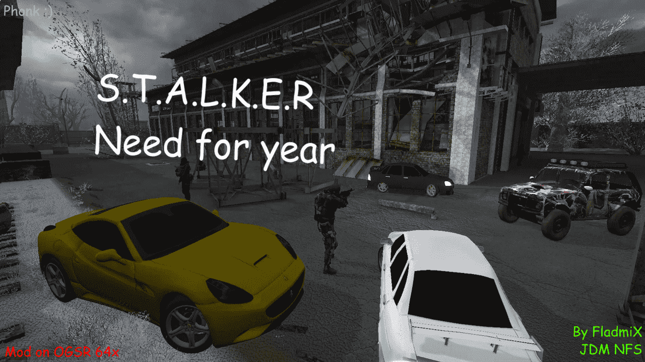 S.T.A.L.K.E.R - Need for year