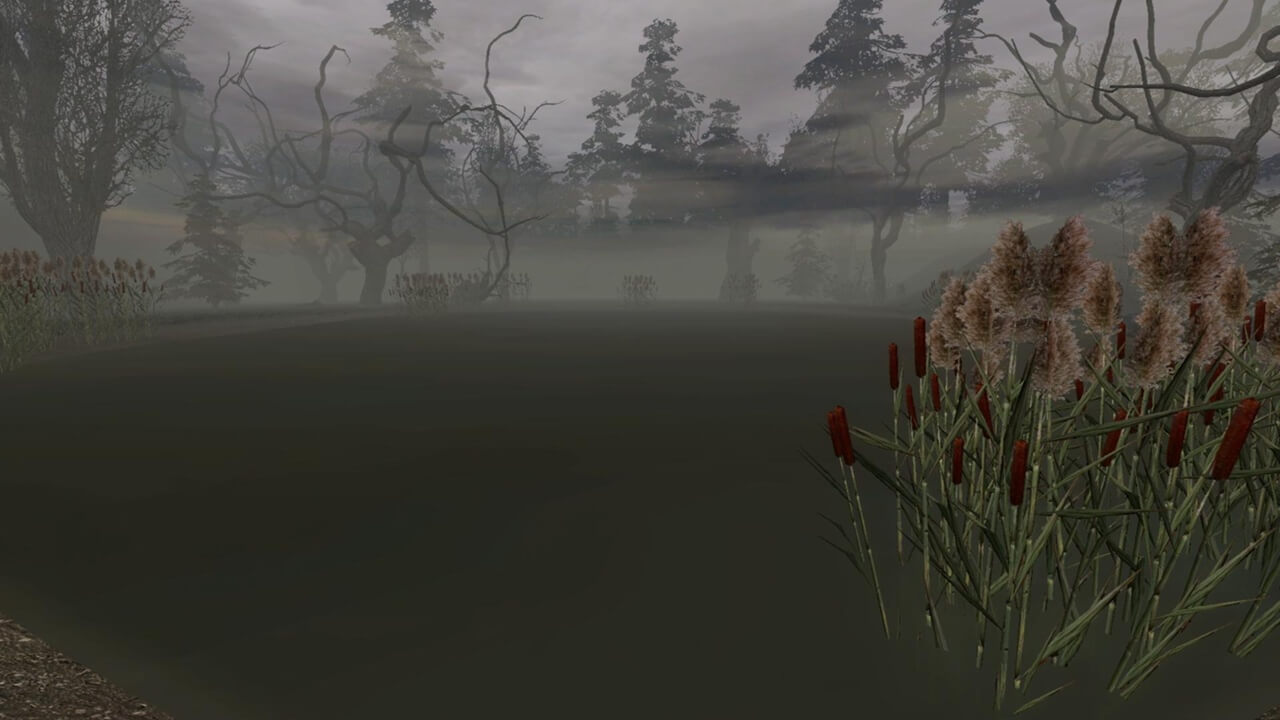 История Путника: Загадка Чёрного озера